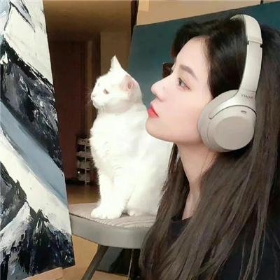 光荣之路上的狗